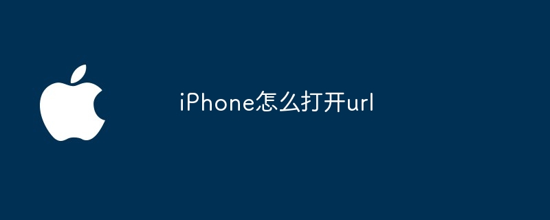 iPhone怎么打开url