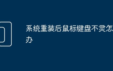系统重装后鼠标键盘不灵怎么办
