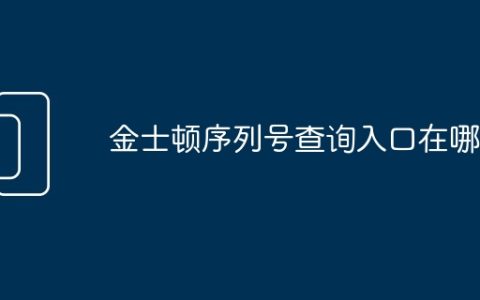 金士顿序列号查询入口在哪