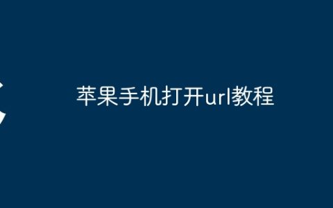 苹果手机打开url教程