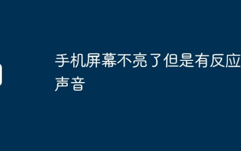 手机屏幕不亮了但是有反应有声音