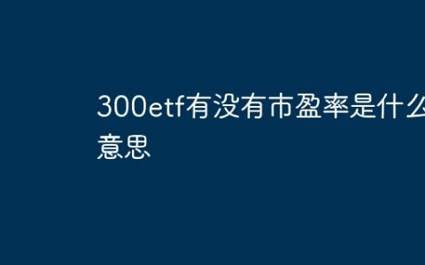 300etf有没有市盈率是什么意思