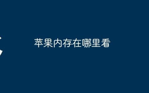 苹果内存在哪里看