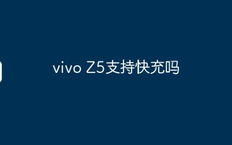 vivo Z5支持快充吗