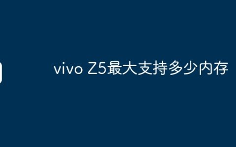 vivo Z5最大支持多少内存
