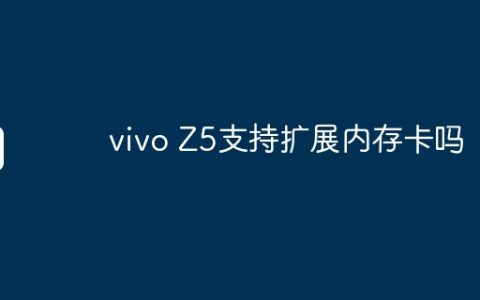 vivo Z5支持扩展内存卡吗