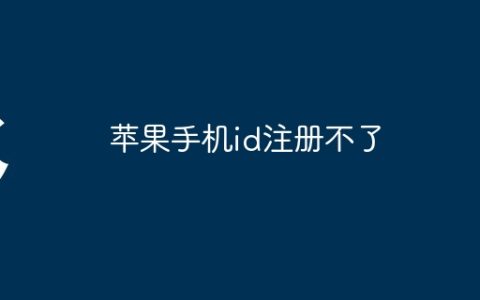 苹果手机id注册不了