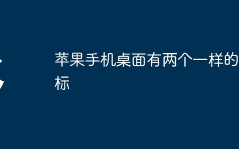 苹果手机桌面有两个一样的图标