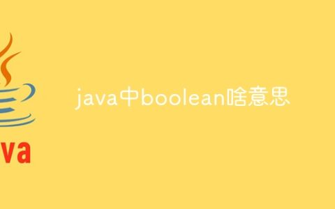java中boolean啥意思