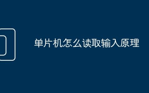 单片机怎么读取输入原理
