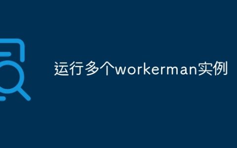 运行多个workerman实例