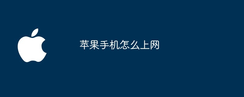 苹果手机怎么上网