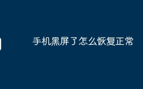 手机黑屏了怎么恢复正常