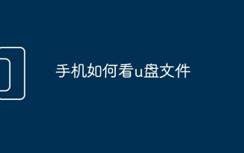 手机如何看u盘文件