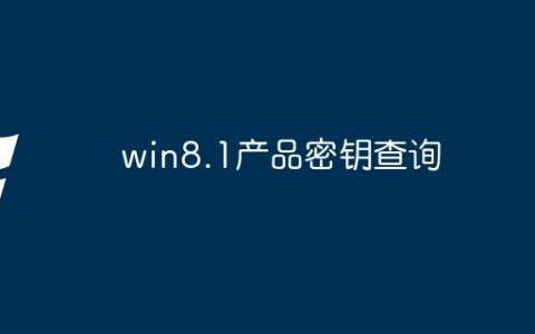 win8.1产品密钥查询