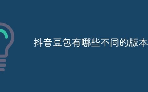抖音豆包有哪些不同的版本