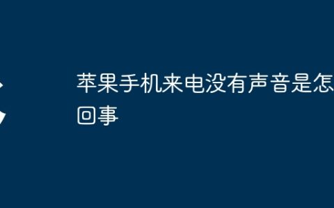 苹果手机来电没有声音是怎么回事