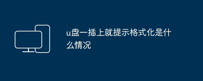 u盘一插上就提示格式化是什么情况