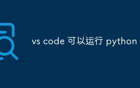 vs code 可以运行 python 吗