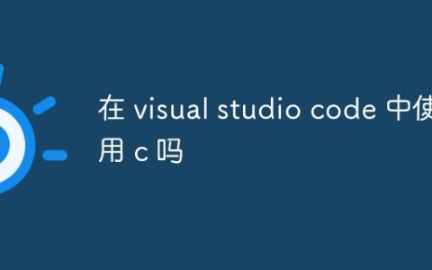 在 visual studio code 中使用 c 吗