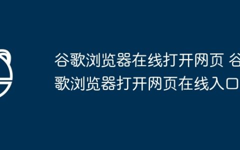 谷歌浏览器在线打开网页 谷歌浏览器打开网页在线入口