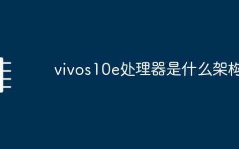 vivos10e处理器是什么架构