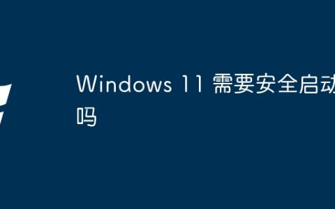 Windows 11 需要安全启动吗