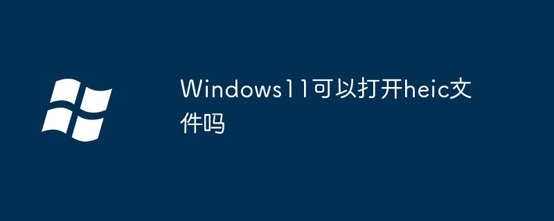 Windows11可以打开heic文件吗