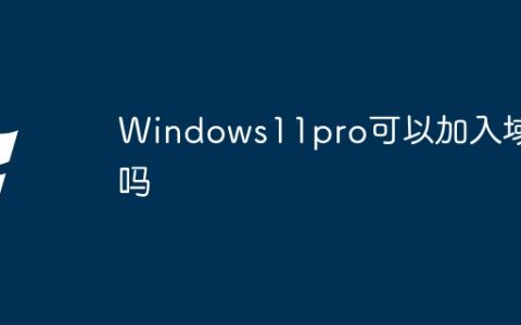 Windows11pro可以加入域吗