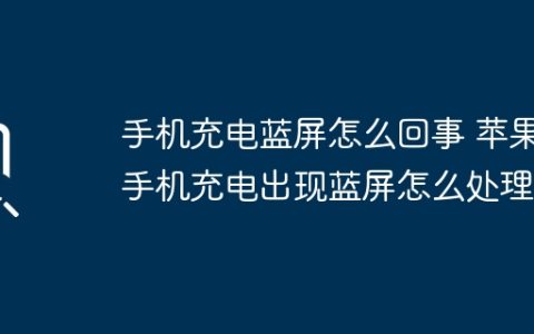 手机充电蓝屏怎么回事 苹果手机充电出现蓝屏怎么处理
