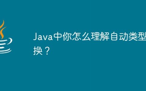 Java中你怎么理解自动类型转换？