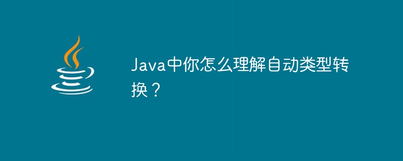 Java中你怎么理解自动类型转换?