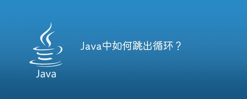 Java中如何跳出循环？