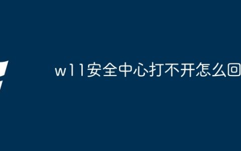 w11安全中心打不开怎么回事