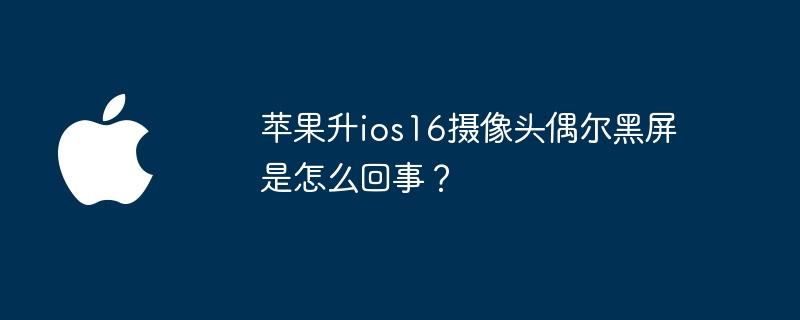苹果升ios16摄像头偶尔黑屏是怎么回事?