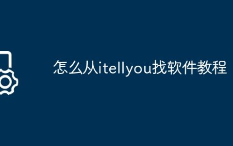 怎么从itellyou找软件教程