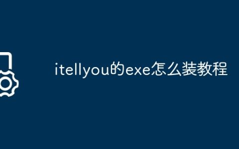 itellyou的exe怎么装教程