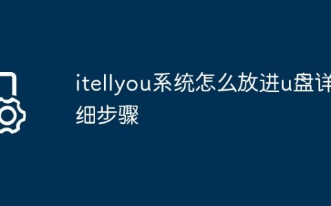 itellyou系统怎么放进u盘详细步骤