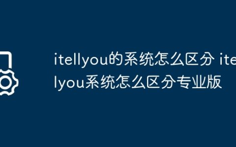 itellyou的系统怎么区分 itellyou系统怎么区分专业版