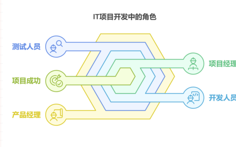 IT项目管理中开发项目时都有哪些角色