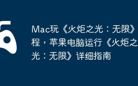 Mac玩《火炬之光：无限》教程，苹果电脑运行《火炬之光：无限》详细指南