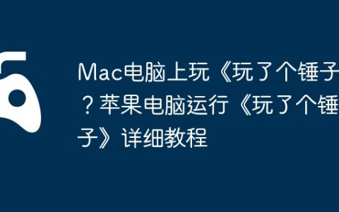 Mac电脑上玩《玩了个锤子》？苹果电脑运行《玩了个锤子》详细教程