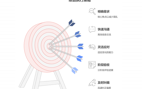 项目目标不清晰，团队如何高效执行