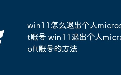 win11怎么退出个人microsoft账号 win11退出个人microsoft账号的方法