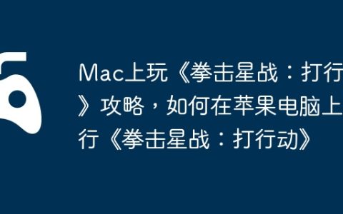 Mac上玩《拳击星战：打行动》攻略，如何在苹果电脑上运行《拳击星战：打行动》
