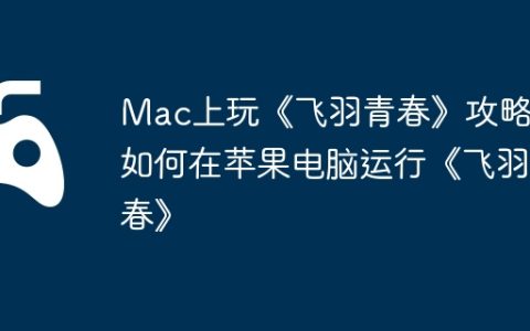 Mac上玩《飞羽青春》攻略，如何在苹果电脑运行《飞羽青春》