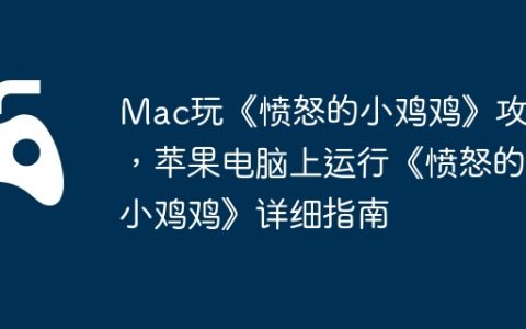 Mac玩《愤怒的小鸡鸡》攻略，苹果电脑上运行《愤怒的小鸡鸡》详细指南