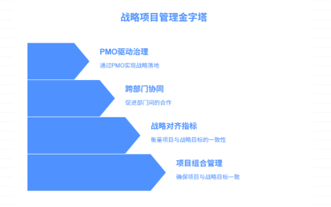 如何在执行多个项目的同时服务公司的整体战略