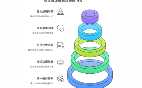 项目众多时，如何引导管理层关注关键内容