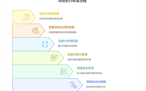 项目执行标准流程是什么样的，如何制定